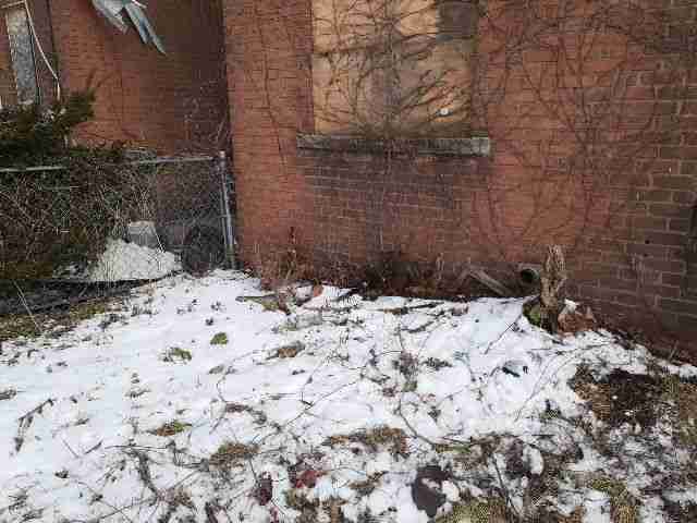 Testing again(86).jpg